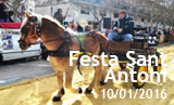 Festa de Sant Antoni