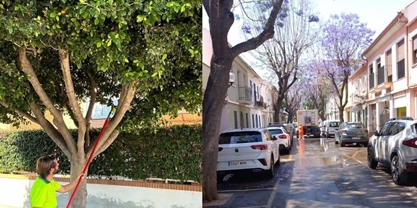 Tractaments biològics i baldeig de carrers per a reduir l'efecte nociu de les plagues