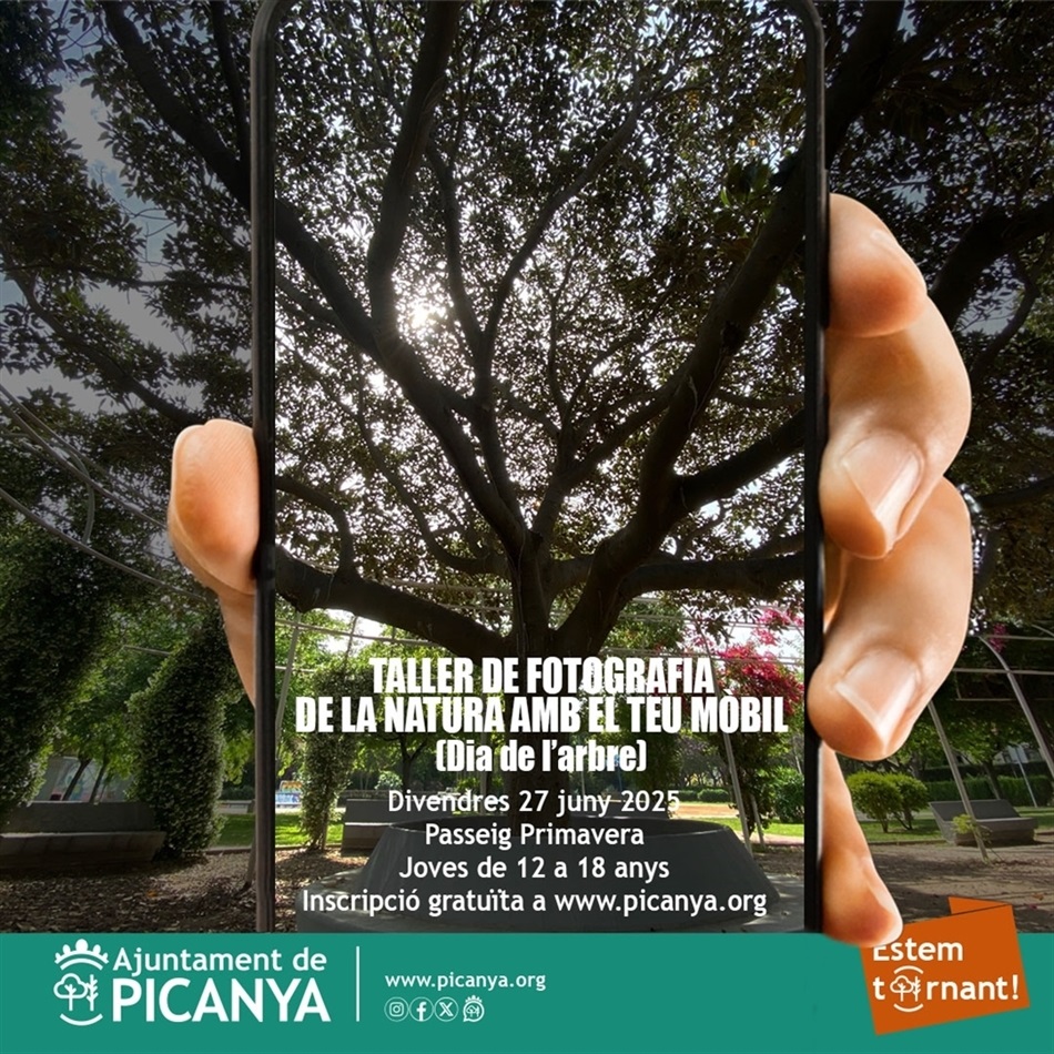 taller_fotografia_arbres taller_fotografia_arbres