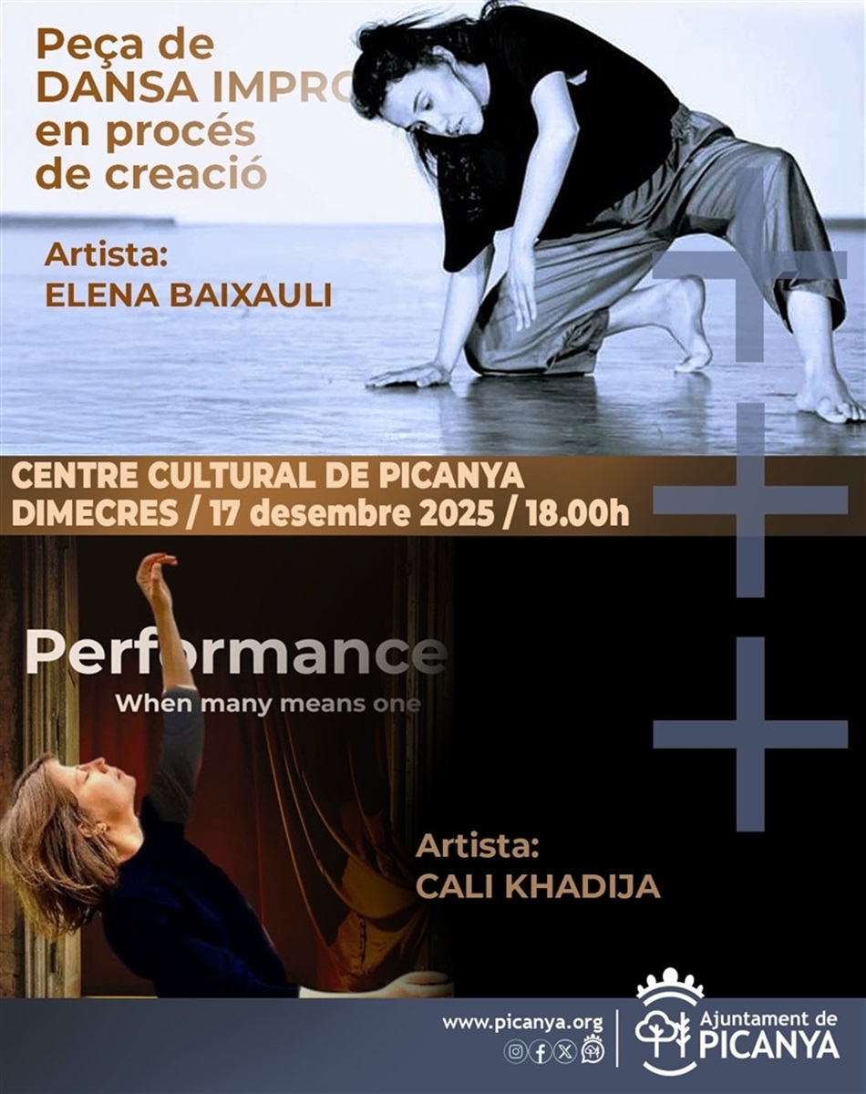 cartell_elena_baixauli cartell_elena_baixauli
